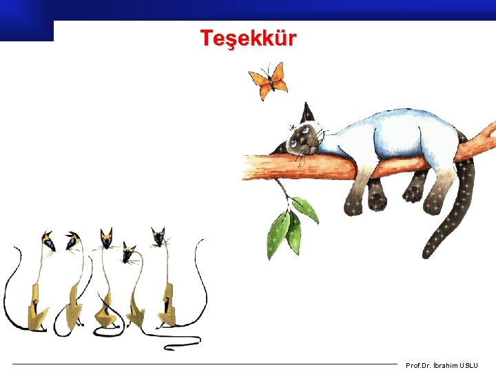 Teşekkür Prof. Dr. İbrahim USLU 