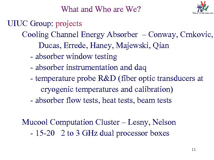 What and Who are We? UIUC Group: projects Cooling Channel Energy Absorber – Conway,