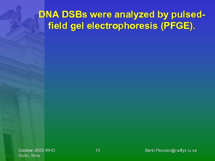 DNA DSBs were analyzed by pulsedfield gel electrophoresis (PFGE). October-2003 WHO Guilin, Kina 10