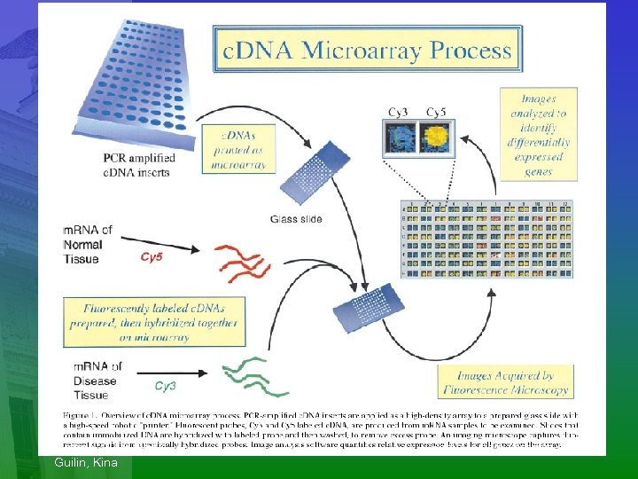 October-2003 WHO Guilin, Kina 14 Bertil. Persson@radfys. lu. se 