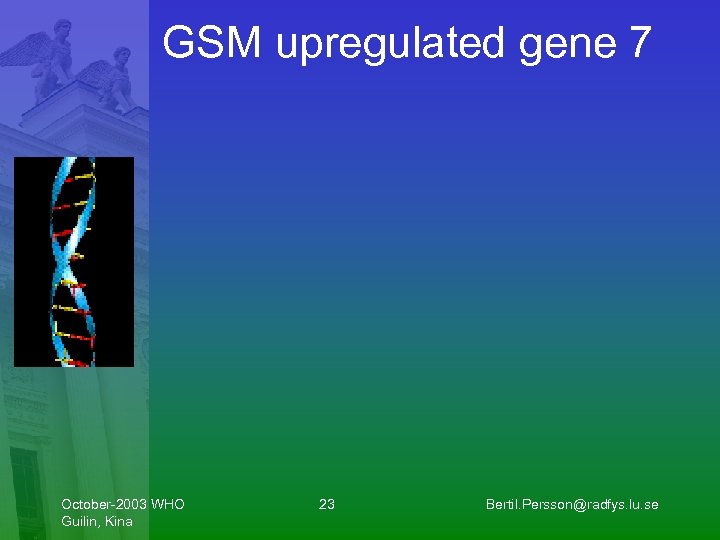 GSM upregulated gene 7 October-2003 WHO Guilin, Kina 23 Bertil. Persson@radfys. lu. se 