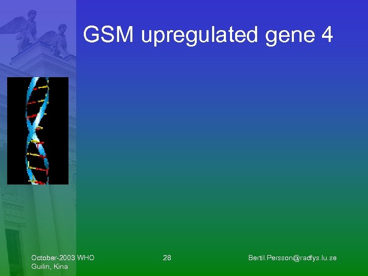 GSM upregulated gene 4 October-2003 WHO Guilin, Kina 28 Bertil. Persson@radfys. lu. se 