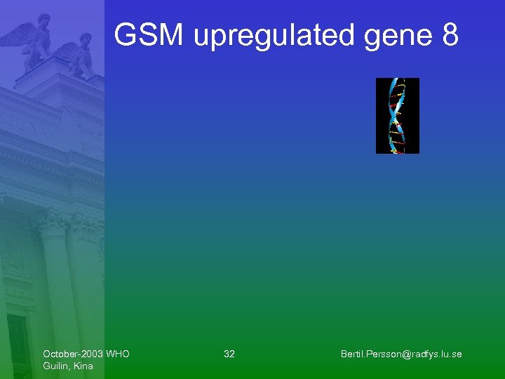 GSM upregulated gene 8 October-2003 WHO Guilin, Kina 32 Bertil. Persson@radfys. lu. se 