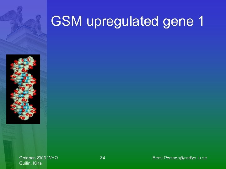 GSM upregulated gene 1 October-2003 WHO Guilin, Kina 34 Bertil. Persson@radfys. lu. se 