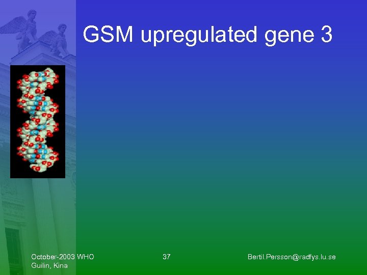 GSM upregulated gene 3 October-2003 WHO Guilin, Kina 37 Bertil. Persson@radfys. lu. se 
