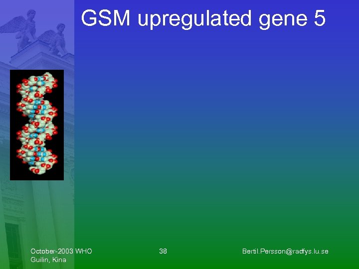GSM upregulated gene 5 October-2003 WHO Guilin, Kina 38 Bertil. Persson@radfys. lu. se 