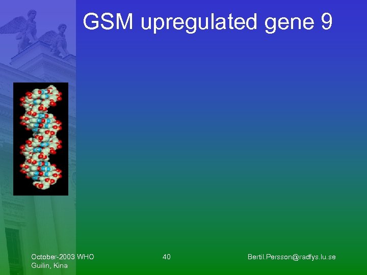 GSM upregulated gene 9 October-2003 WHO Guilin, Kina 40 Bertil. Persson@radfys. lu. se 