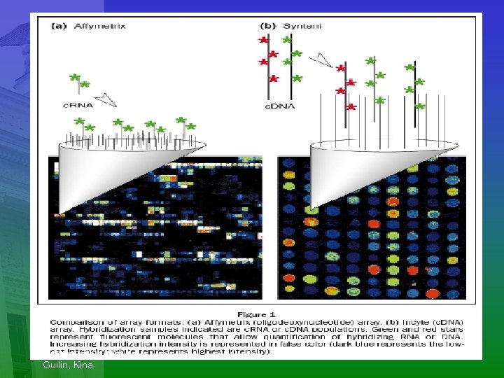 October-2003 WHO Guilin, Kina 47 Bertil. Persson@radfys. lu. se 