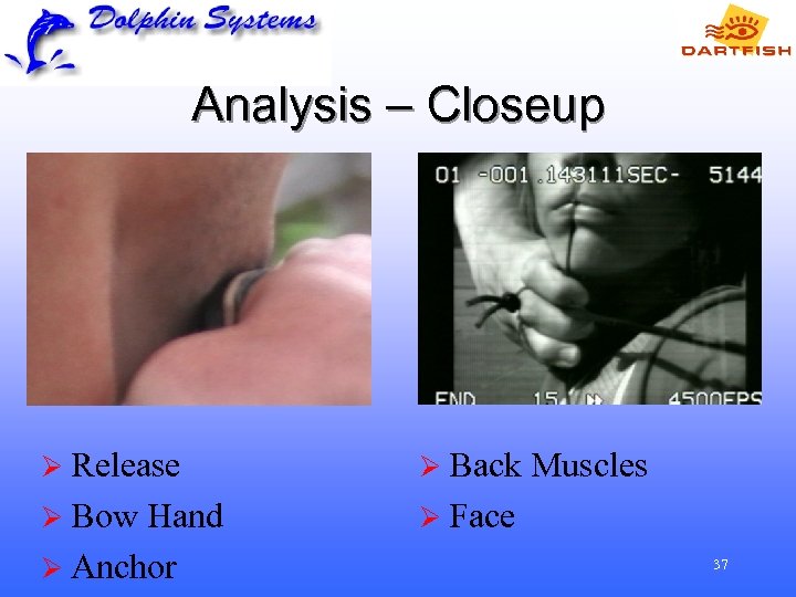 Analysis – Closeup Ø Release Ø Back Ø Bow Ø Face Hand Ø Anchor