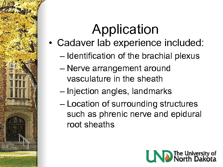 Application • Cadaver lab experience included: – Identification of the brachial plexus – Nerve