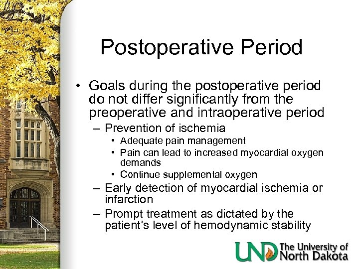 Postoperative Period • Goals during the postoperative period do not differ significantly from the