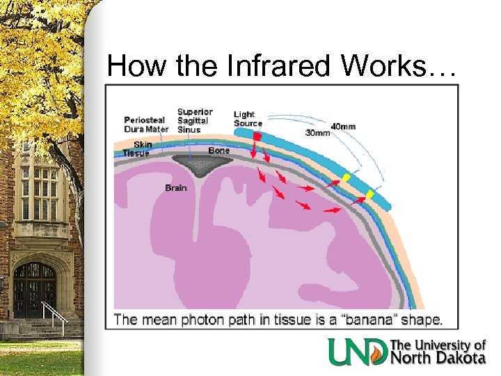 How the Infrared Works… 