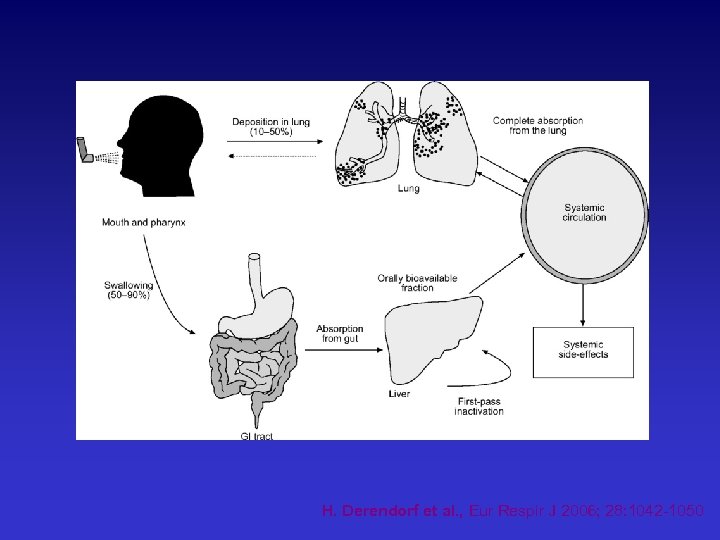 H. Derendorf et al. , Eur Respir J 2006; 28: 1042 -1050 