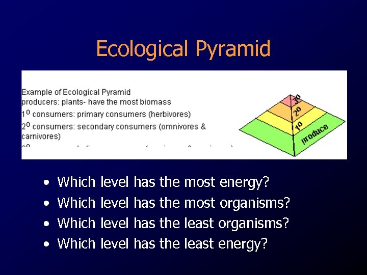 Ecological Pyramid • • Which level has has the the most energy? most organisms?