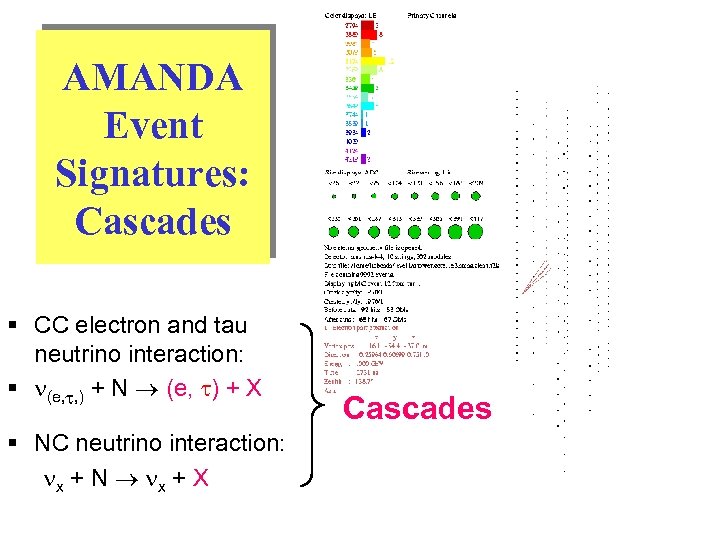 AMANDA Event Signatures: Cascades § CC electron and tau neutrino interaction: § (e, ,
