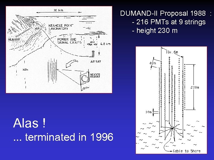 DUMAND-II Proposal 1988 : - 216 PMTs at 9 strings - height 230 m