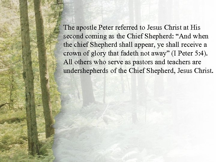 I. Theapostle Peter referred to. Shepherd. His Lord Is My Jesus Christ at The