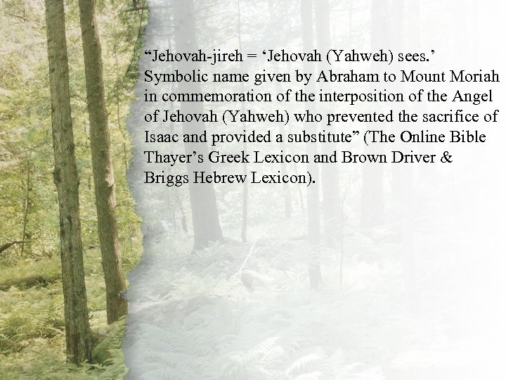 II. The Shepherd Will “Jehovah-jireh = ‘Jehovah (Yahweh) sees. ’ Symbolic name given by