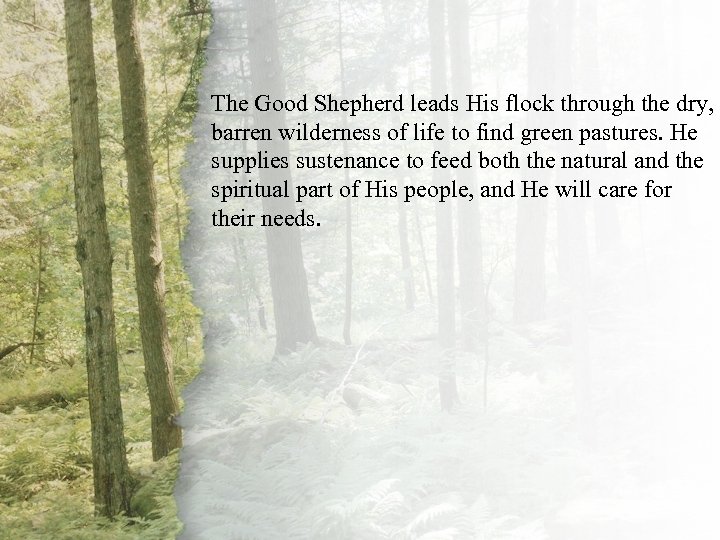 II. The Shepherd Will The Good Shepherd leads His flock through the dry, Provide