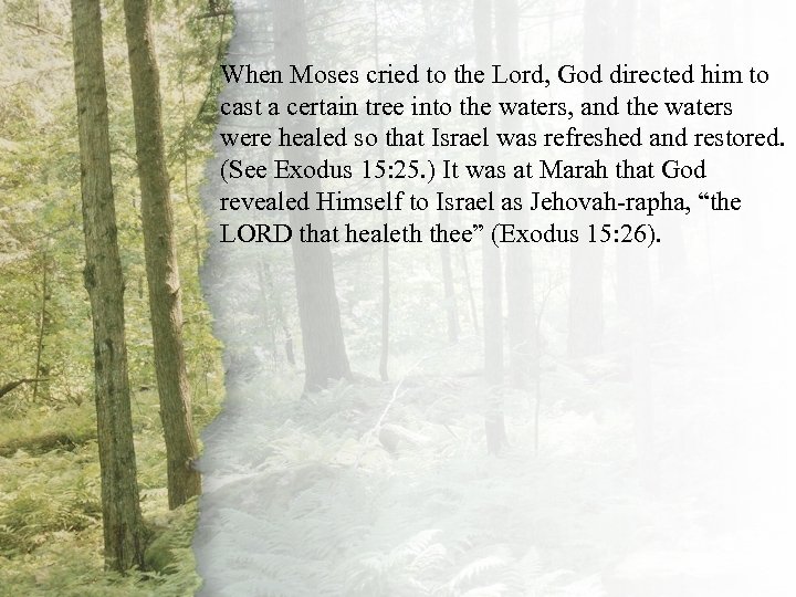 When Moses cried to the Lord, God directed IV. The Shepherd Restoreshim to cast
