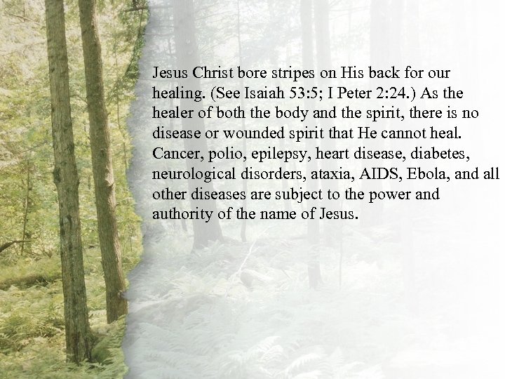 IV. The Shepherd Restores Jesus Christ bore stripes on His back for our (B)