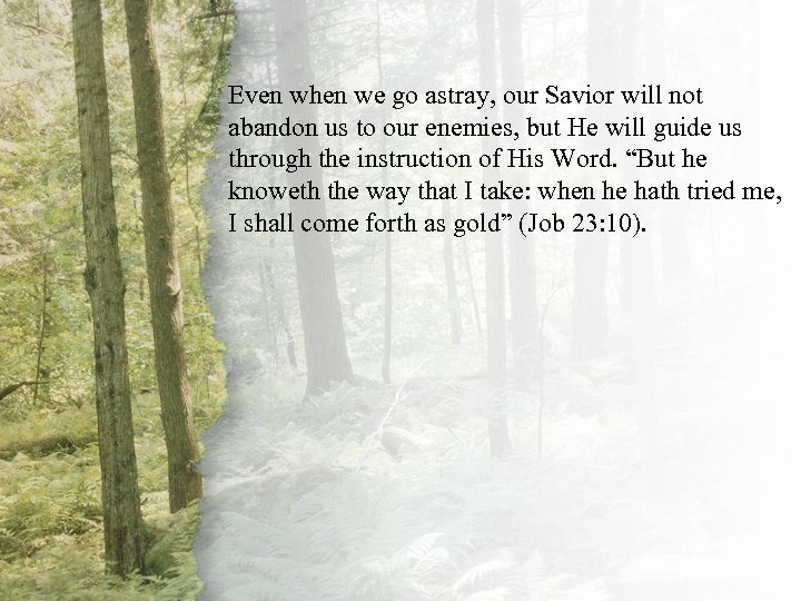 VI. Even when we go astray, our Savior will not The Shepherd Is Always