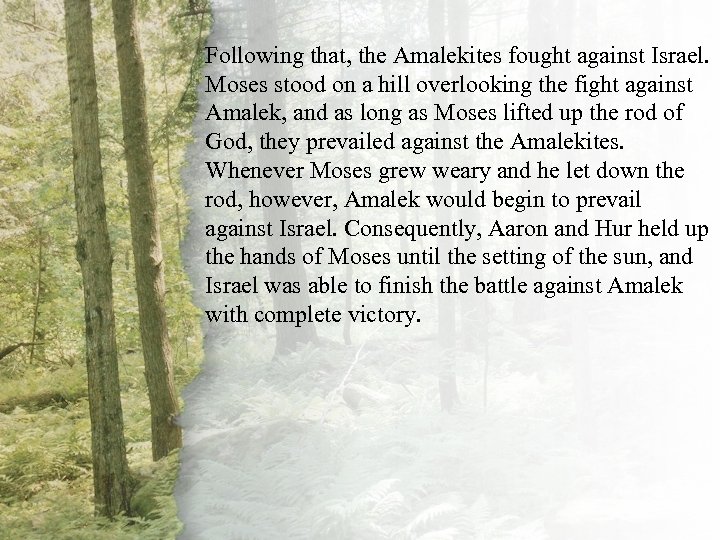 Following that, the Amalekites fought against Israel. Moses stood on a hill overlooking the