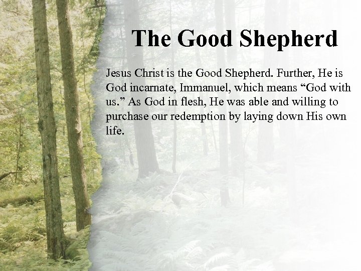 The Good Shepherd VIII. The Jesus Christ is the Good Shepherd. Further, He is