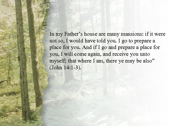 VIII. The Good Shepherd In my Father’s house are many mansions: if it were