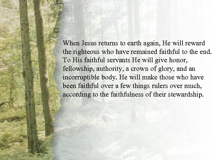 VIII. The Good Shepherd When Jesus returns to earth again, He will reward the