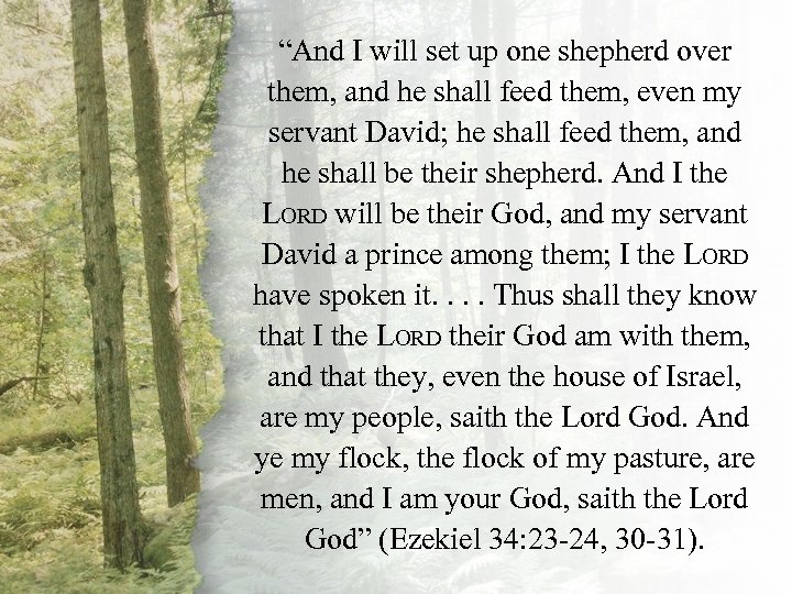 “And I will set up one shepherd over them, and he shall feed them,