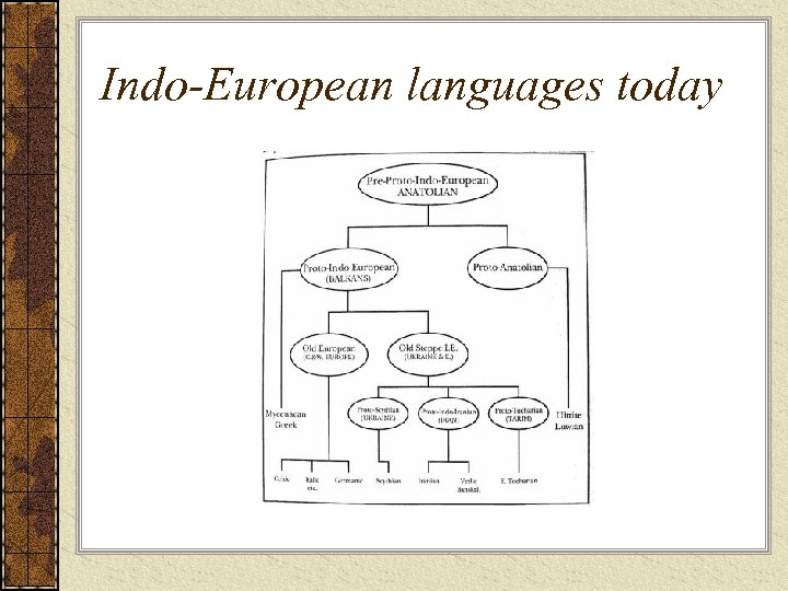 Indo-European languages today 