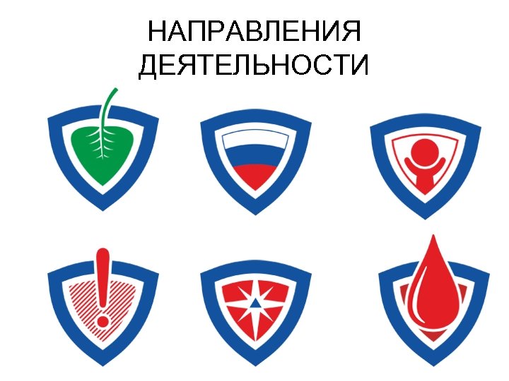 НАПРАВЛЕНИЯ ДЕЯТЕЛЬНОСТИ 