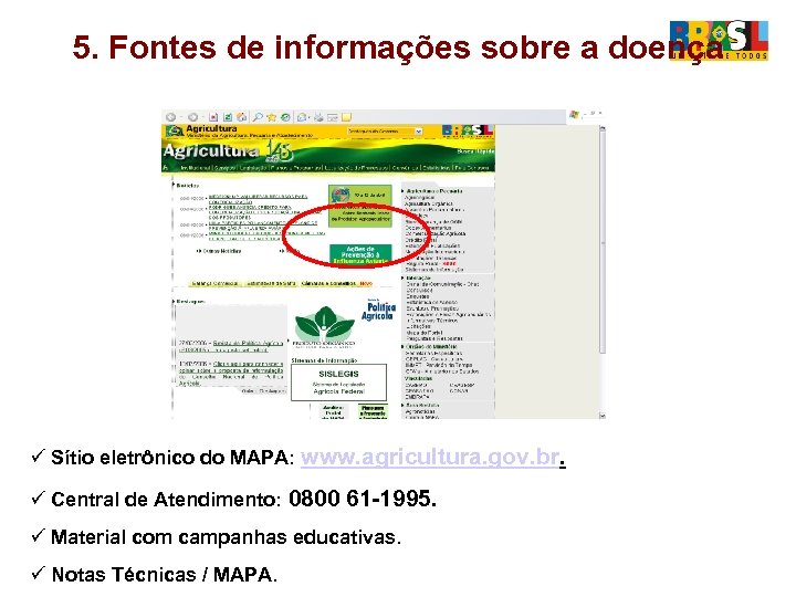 5. Fontes de informações sobre a doença ü Sítio eletrônico do MAPA: www. agricultura.