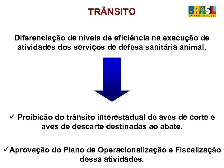 TR NSITO Diferenciação de níveis de eficiência na execução de atividades dos serviços de