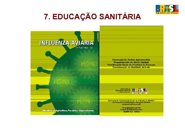 7. EDUCAÇÃO SANITÁRIA 