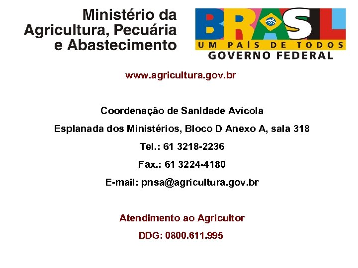 www. agricultura. gov. br Coordenação de Sanidade Avícola Esplanada dos Ministérios, Bloco D Anexo