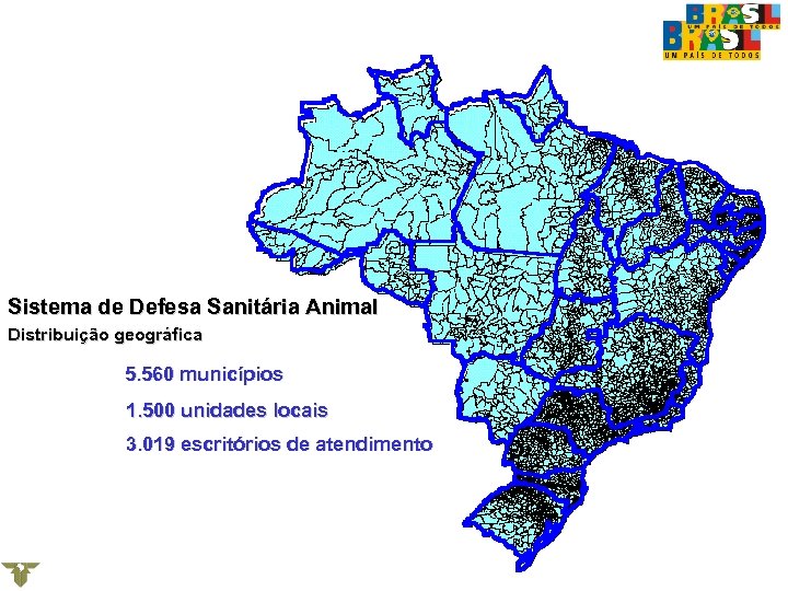 Sistema de Defesa Sanitária Animal Distribuição geográfica 5. 560 municípios 1. 500 unidades locais