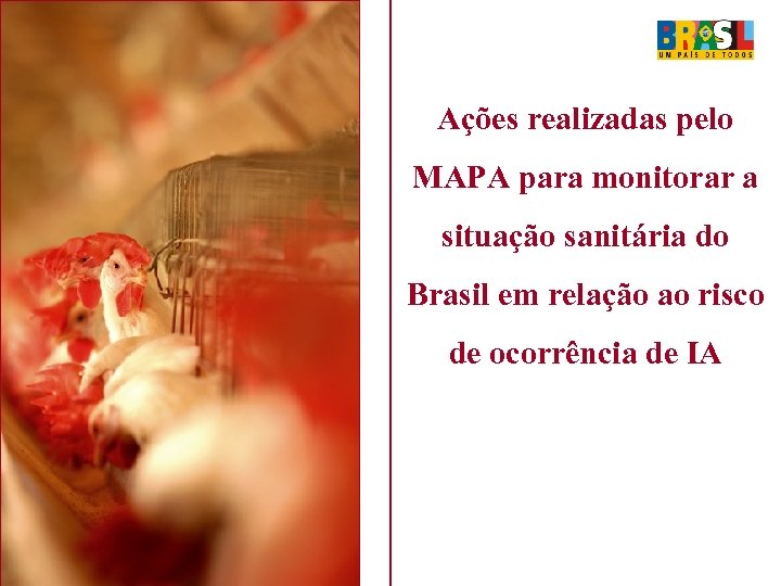 Ações realizadas pelo MAPA para monitorar a situação sanitária do Brasil em relação ao
