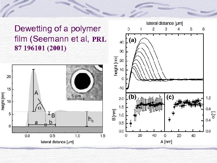 Dewetting of a polymer film (Seemann et al, PRL 87 196101 (2001) 