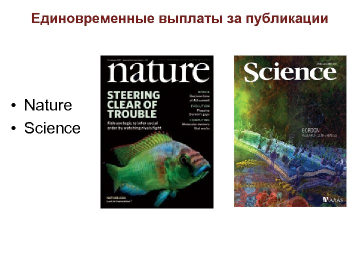 Единовременные выплаты за публикации • Nature • Science 