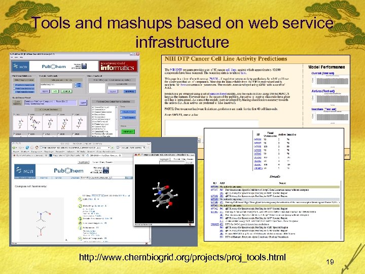 Tools and mashups based on web service infrastructure http: //www. chembiogrid. org/projects/proj_tools. html 19