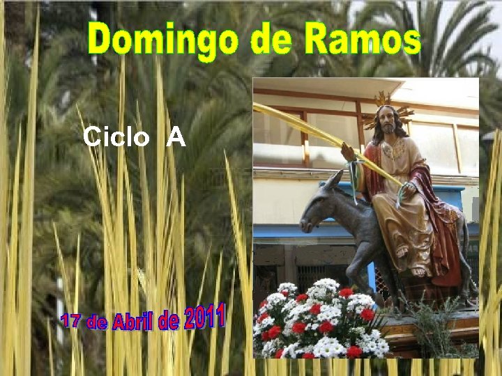 Ciclo A 