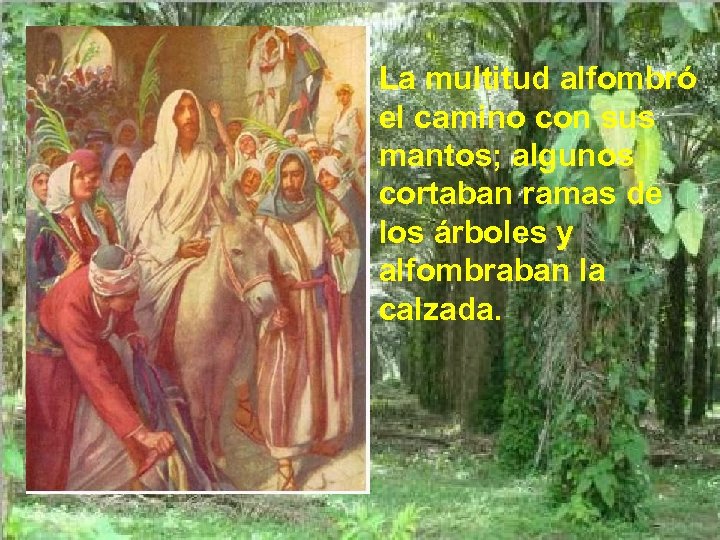 La multitud alfombró el camino con sus mantos; algunos cortaban ramas de los árboles