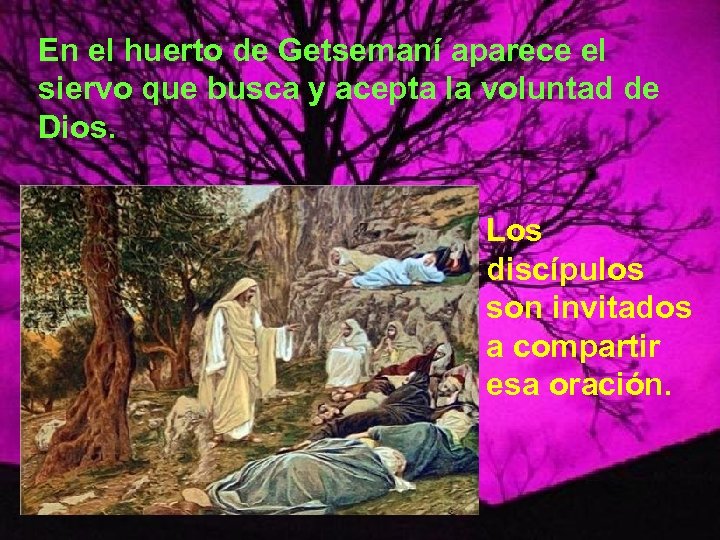 En el huerto de Getsemaní aparece el siervo que busca y acepta la voluntad