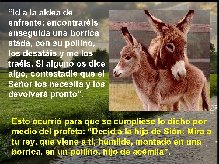 “Id a la aldea de enfrente; encontraréis enseguida una borrica atada, con su pollino,