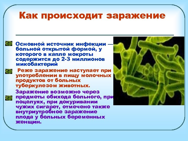 Как происходит заражение Основной источник инфекции — больной открытой формой, у которого в капле