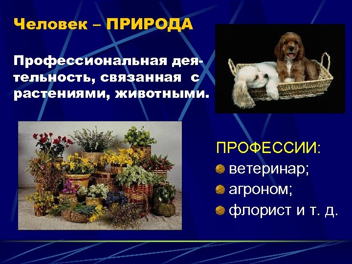 Человек – ПРИРОДА Профессиональная деятельность, связанная с растениями, животными. ПРОФЕССИИ: ветеринар; агроном; флорист и