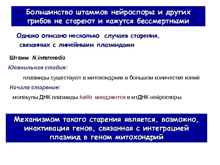 Большинство штаммов нейроспоры и других грибов не стареют и кажутся бессмертными Однако описано несколько