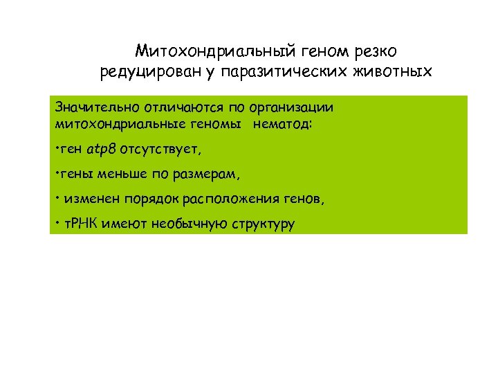 Митохондриальный геном резко редуцирован у паразитических животных Значительно отличаются по организации митохондриальные геномы нематод: